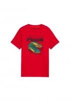 IMG-9038079653806389779