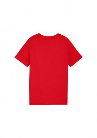 IMG-478210496687147210