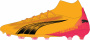 107750_03_fv.jpg